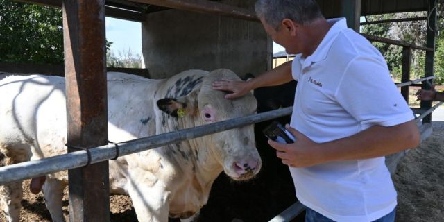 Животът във фермата започва с правилното хранене – от капка млекозаместител до море от резултати