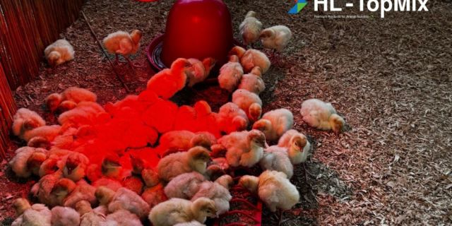 Изпратихме лятото с много положителни емоции и поглед към нови хоризонти
