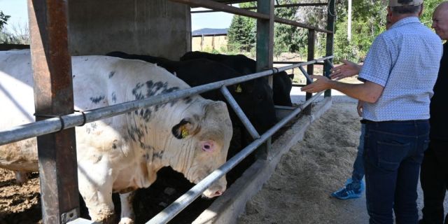Животът във фермата започва с правилното хранене – от капка млекозаместител до море от резултати