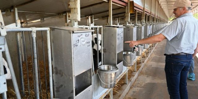 Животът във фермата започва с правилното хранене – от капка млекозаместител до море от резултати