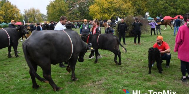 В сърцето на българското животновъдство – ден, посветен на традициите и бъдещето