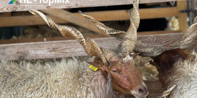 Изпратихме лятото с много положителни емоции и поглед към нови хоризонти