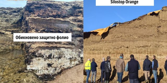 Знаеш ли колко ти струват видимите и невидими загуби в силажа?