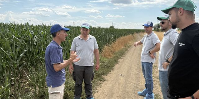 Полезни бактерии, загрижени фермери и един италианец, който знае как се прави добър силаж
