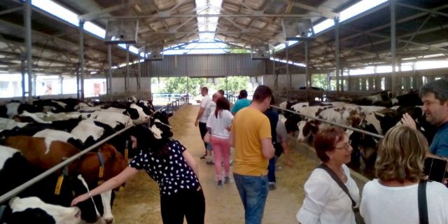 HL - TopMix бе домакин на среща за обмяна на опит между български и румънски животновъди