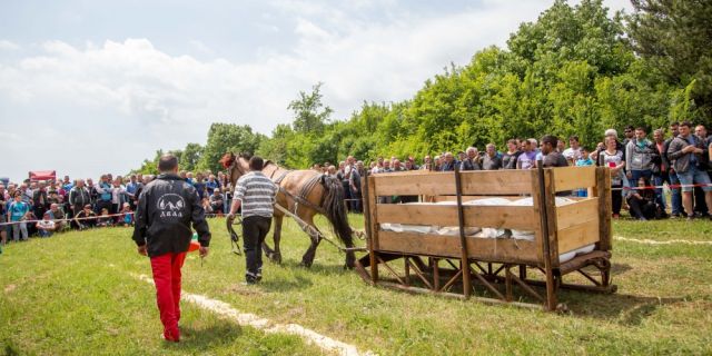 HL-TopMix раздаде награди на победителите в Седмият Националния събор на овцевъдите 