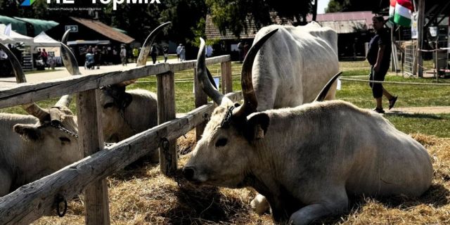 Изпратихме лятото с много положителни емоции и поглед към нови хоризонти
