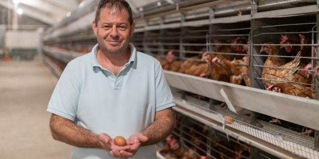 Д-р Стаменов: Има решение за проблема с кокошинките в нашите ферми