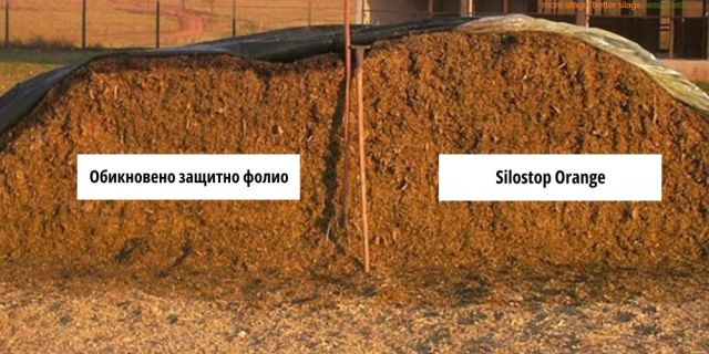 Знаеш ли колко ти струват видимите и невидими загуби в силажа?