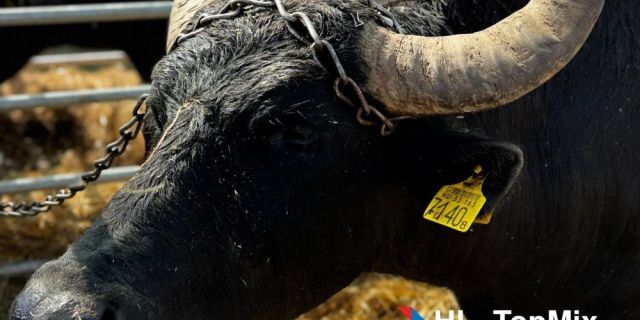 Изпратихме лятото с много положителни емоции и поглед към нови хоризонти