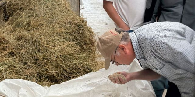 Животът във фермата започва с правилното хранене – от капка млекозаместител до море от резултати
