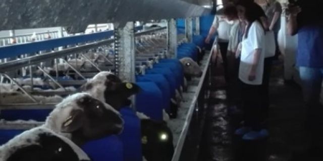 Демонстрационният ден във фермата на Рейхан Ружди събра овцевъди от Бургаска област