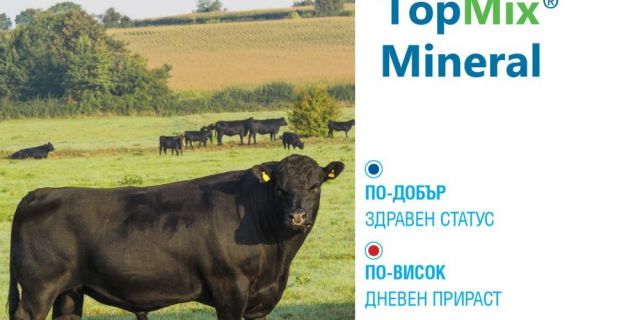 Ролята на минералните добавки при угояването на месодайните телета